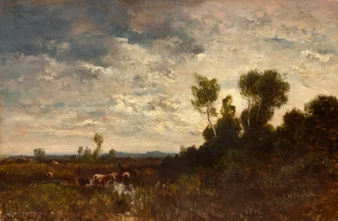Paesaggio di brughiera