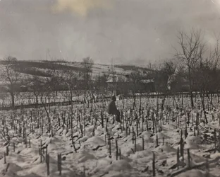 Cimitero militare