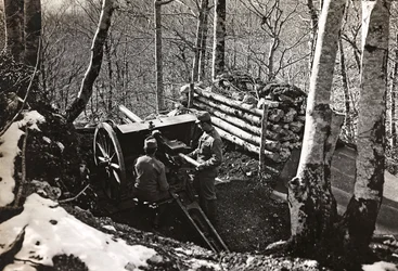 Soldati con cannone