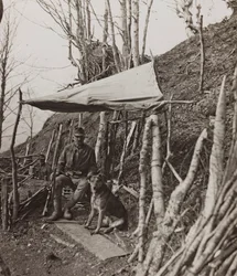 Album "Meine weltkriegs - Erinnerungen South-West Front (Carinzia, Italia, Trentino-Alto Adige) 31/03/1915-12/11/1918 - Josef Zohles Wien": cane militare sotto una tenda (foto b/n)