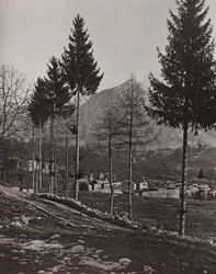 Album "Meine weltkriegs - Erinnerungen South-West Front (Carinzia, Italia, Trentino-Alto Adige) 31/03/1915-12/11/1918 - Josef Zohles Wien": macerie di Pliczna (foto b/n)