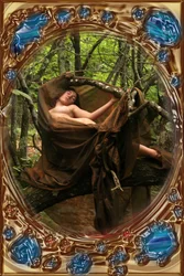 Venere nel Legno