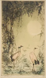 Luna tropicale