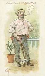 Devoti del tabacco n. 22