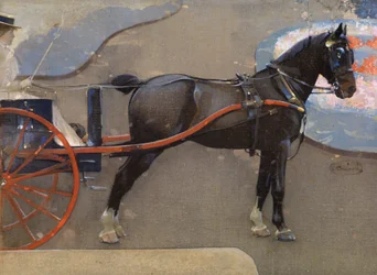 Cavallo e carro con signora