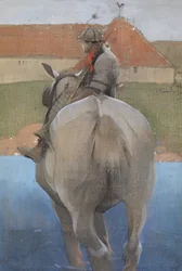 Il ragazzo del contadino
