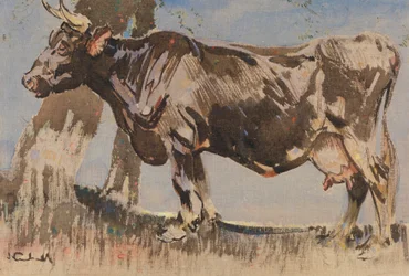 La vecchia mucca