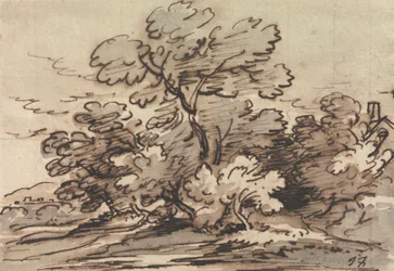 Un gruppo di alberi