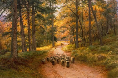 Verso casa