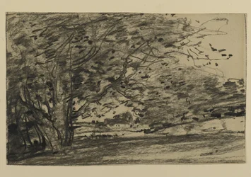 Studio di alberi, 1870