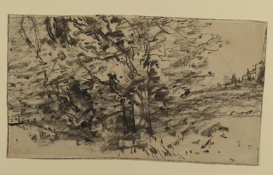 Studio di alberi, 1870