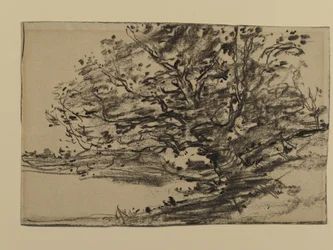 Studio di alberi, 1870
