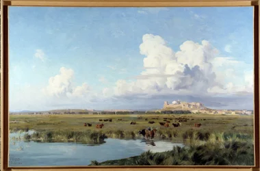 Paesaggio della Camargue