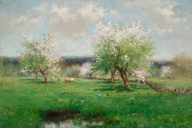 Frutteto di mele