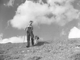 Un pastore e il suo cane da pastore a passeggio a Martindale