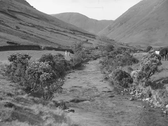 Un ruscello che attraversa il paesaggio di Wastwater