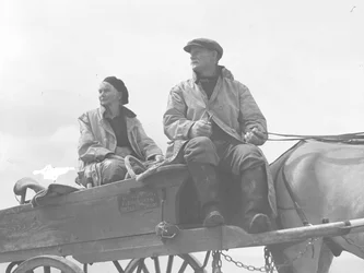 Marito e moglie seduti su un carro per la raccolta delle vongole