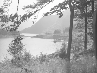 Thirlmere attraverso i rami degli alberi