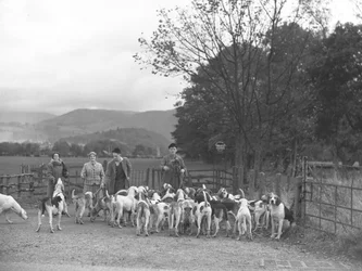 Due uomini e due donne in piedi con un gruppo di cani da caccia
