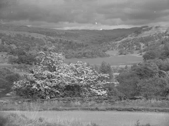 Vista sul lago di Rydal