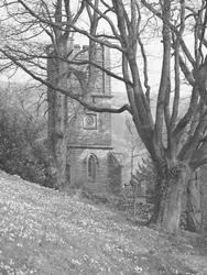 Vista di una chiesa; architettura; religioso; ecclesiastico; torre attraverso gli alberi