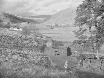 Vista sui campi e sulle colline di Bannisdale