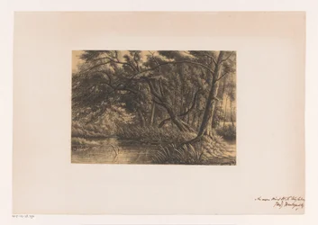 Paesaggio boschivo con stagno