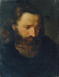 Studio della testa di un uomo barbuto I