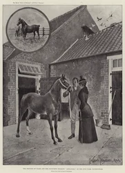 La Principessa di Galles e il suo puledro preferito Alexandra alla fattoria di Sandringham