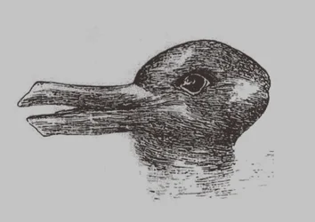 Illusione anatra-coniglio. Da: Jastrow, J. L