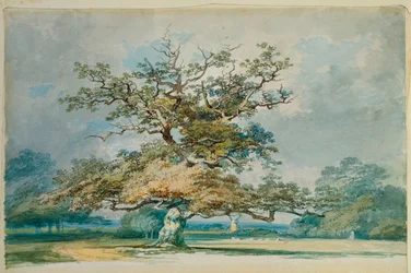 Paesaggio con una vecchia quercia