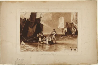 Anatre marine