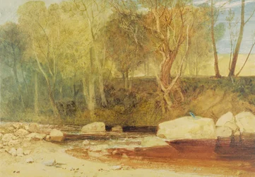 Sul Washburn