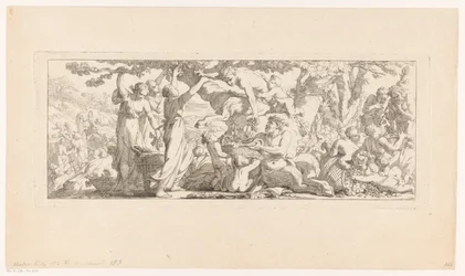 Raccolta dell