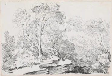 Alberi