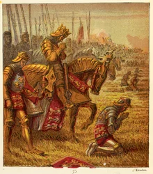 Le Guerre delle Rose, illustrazione da 