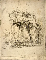 Grande Albero - Passeggiata di Cheyne