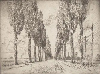 Il viale, Valenciennes, 1910
