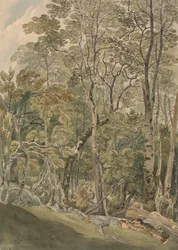 Nel parco di Rydal