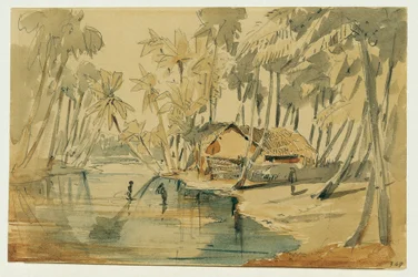 Palmeto a Ceylon (Sri Lanka)