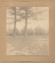 Paesaggio con alberi, c. 1900 (foto)