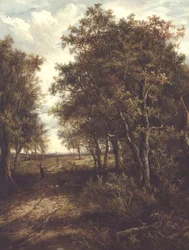 Una radura nel bosco