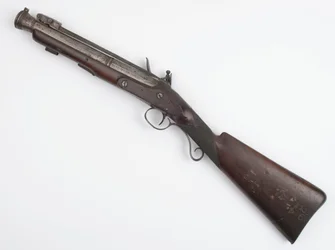 Archibugio con baionetta a molla emesso ai Volontari Irlandesi, c.1815
