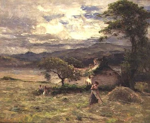 Campo di fieno vicino a Llandudno