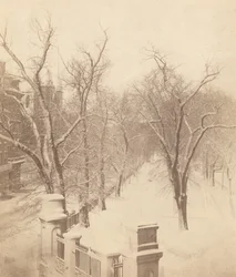 Scena di neve al Boston Common
