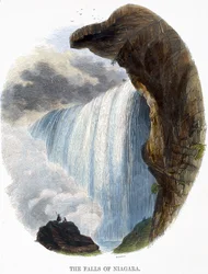 Le Cascate del Niagara, da Fenomeni della Natura, 1849