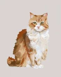 Ritratto di un gatto rosso dal pelo soffice