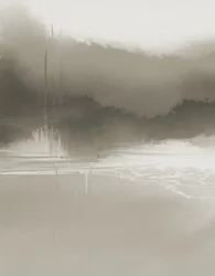 Riflessi nell