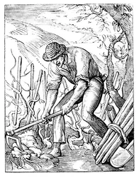Il viticoltore
