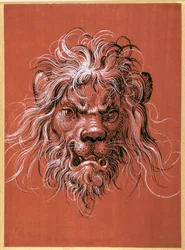 Testa di leone